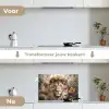 Leeuw - Wilde dieren - Planten - Natuur - Bloemen keuken achterwand spatscherm klein -voor_na_NL