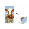 Koeien - Lucht - Dieren - Boerderij - Portret fotobehang vinyl groot -3d