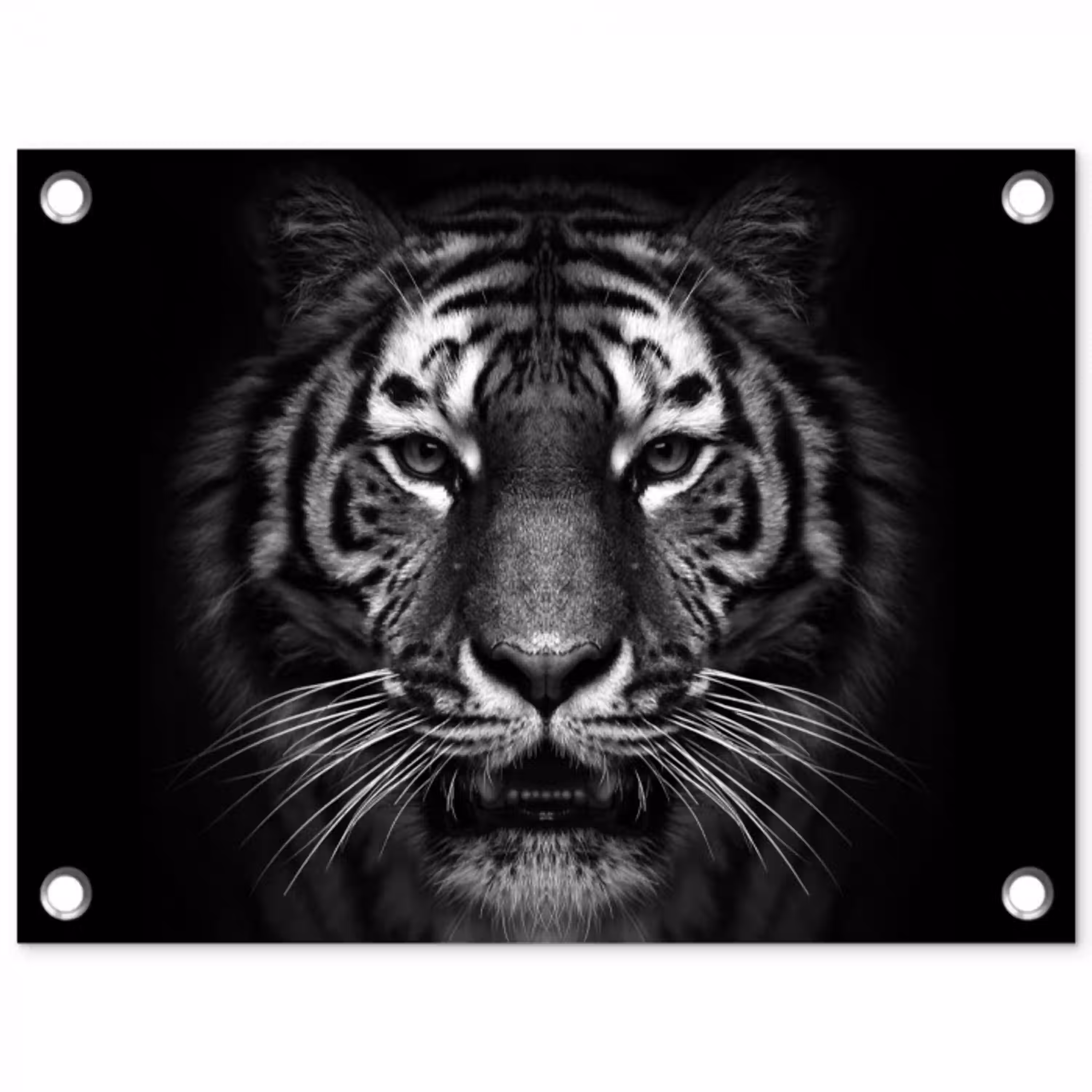 Tijger in het zwart-wit tuinposter los doek klein -3d