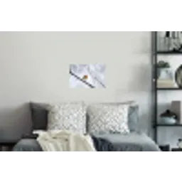 Roodborstje - Tak - Sneeuw - Winter - Levendig Muursticker klein -slaapkamer