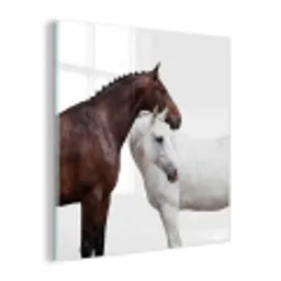 Paard - Modern - Balans plexiglas 5mm klein -z3d