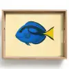Blauw - Dory - Vis - Staartvin Dienblad Rechthoek middel -z3d_shopping