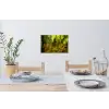 Bomen - Steen - Bos - Natuur Muursticker klein -eettafel