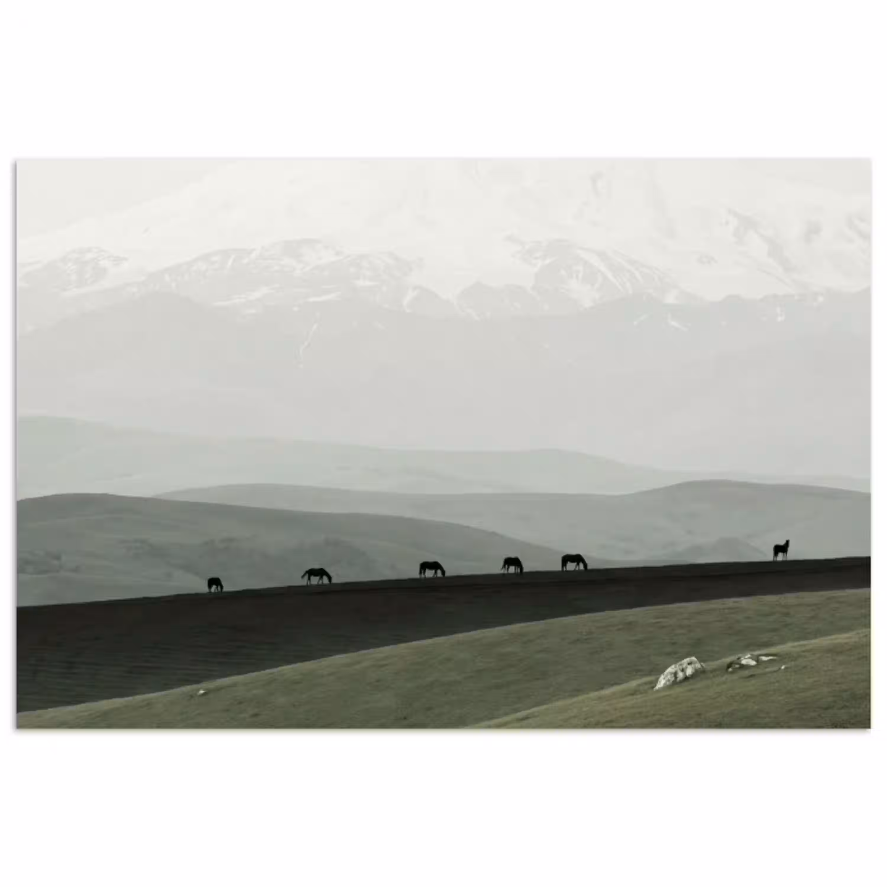 Grijs - Berg - Paarden poster papier klein -3d