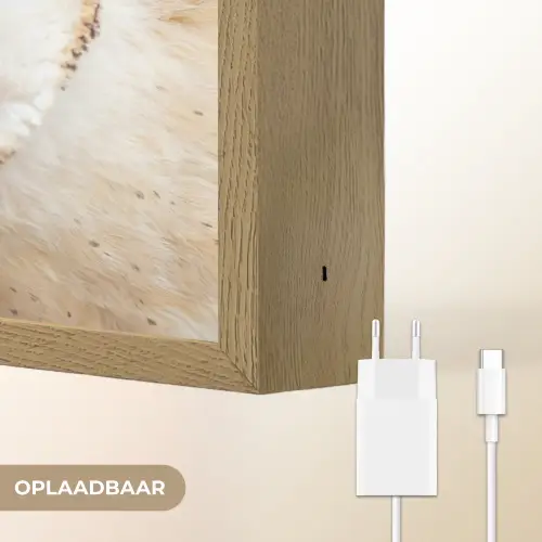 Uil - Bruin - Wit Light Box met batterij (Wandlamp) middel -USP_websiteoplaadbaarNL