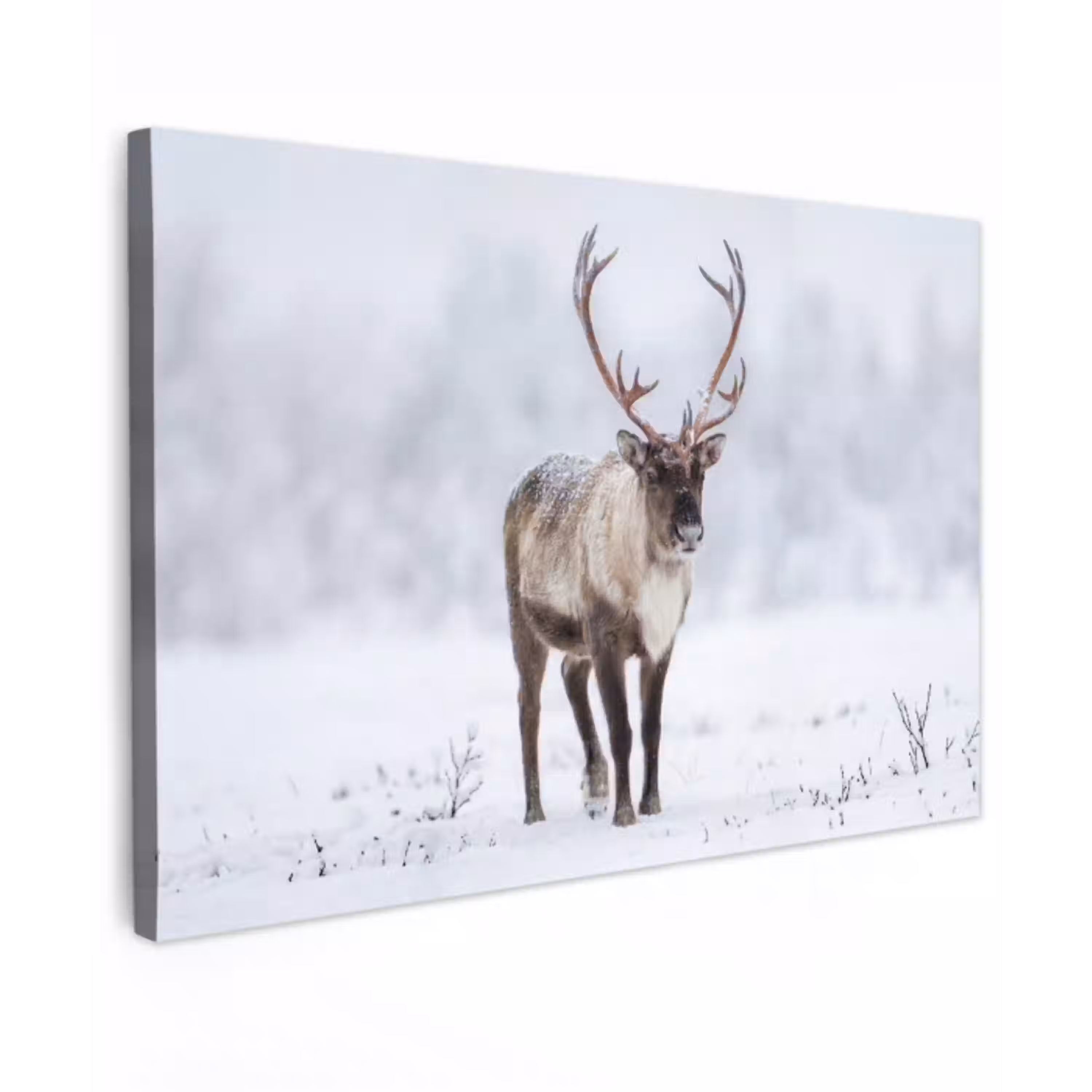 Rendier - Gewei - Toendra - Sneeuw - Wild Tuinposter op houten frame 2 cm dik klein -3d