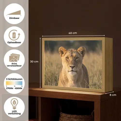 Leeuwin - Gras - Geel Light Box met batterij (Wandlamp) middel -USP_websiteoverzichtNL
