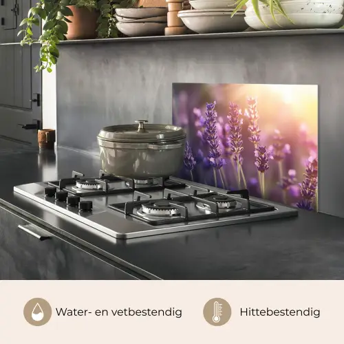 Lavendelbloemen - Paars - Zonlicht keuken achterwand spatscherm klein -usp_NL