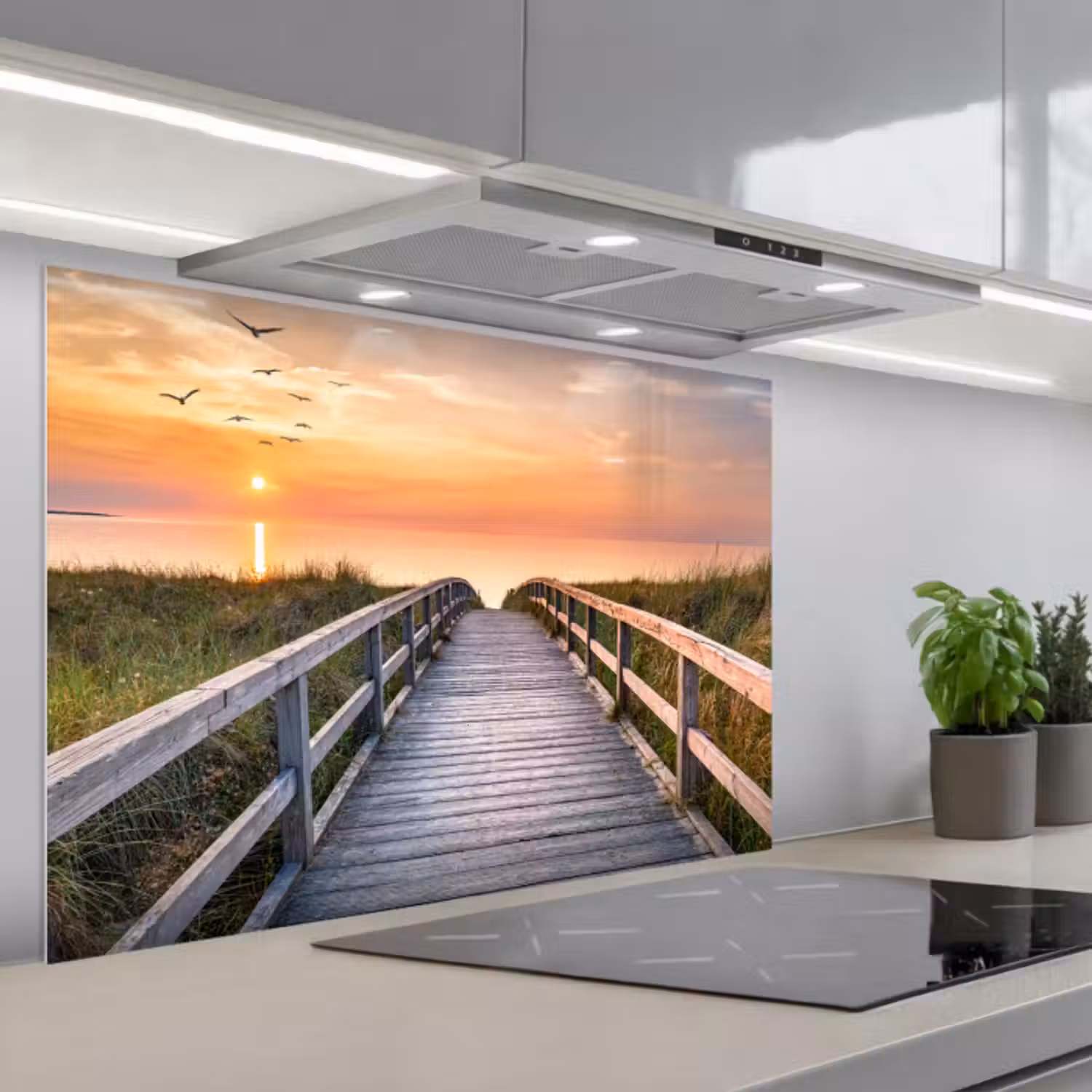 Spatscherm keuken - Zonsonderang - Zee - Pad - Gras - Duin - Vogels