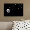 Paardenbloem - Zwart - Natuur canvas 2cm klein -sfeer3