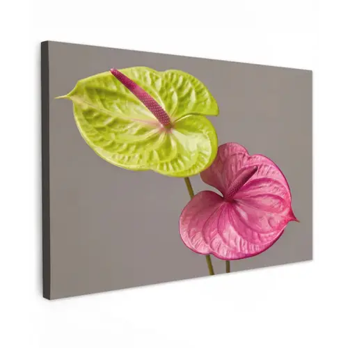 Planten - Anthurium - Groen - Roze Tuinposter op houten frame 2 cm dik klein -3d