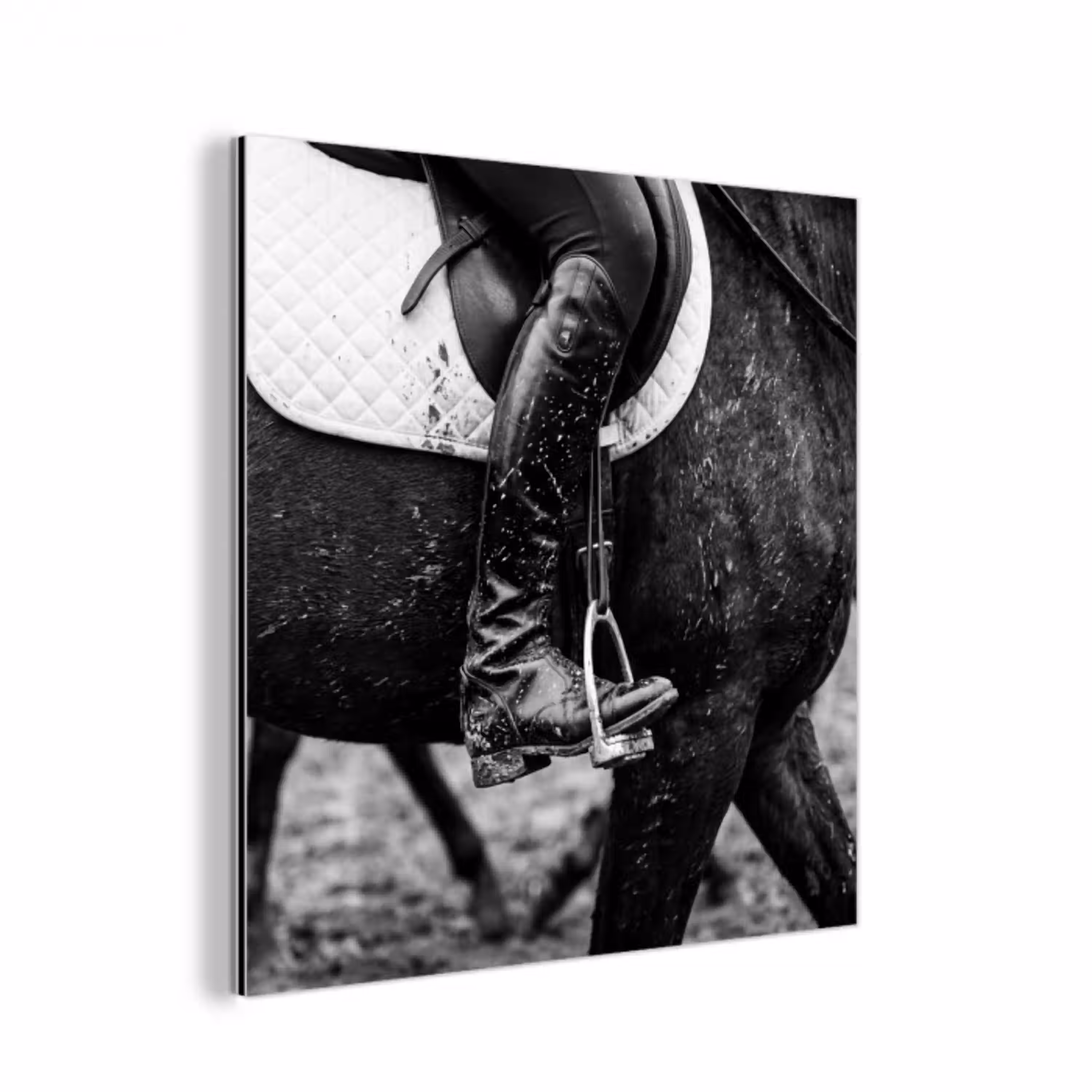 Paard - Sport - Zwart - Wit aluminium wit klein -3d