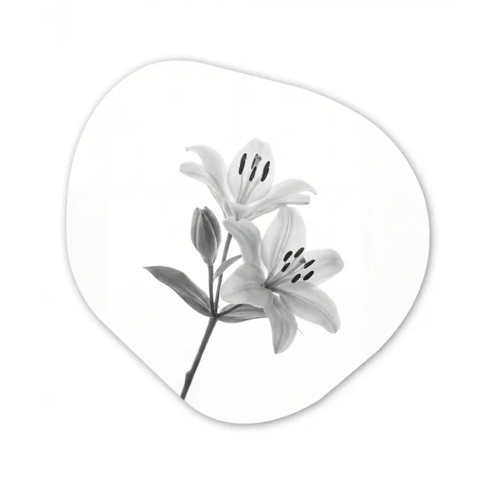 Lelies - Elegant - Zwart - Wit Wandcirkel Organisch Aluminium middel -3d