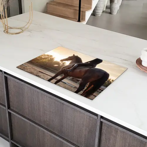 Harmonie - Ruiter - Zon Inductie beschermer vinyl 3mm klein -sfeer8