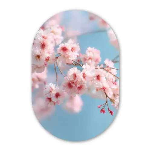 Takken - Bloesems - Roze Wandcirkel Ovaal Glas middel -3d