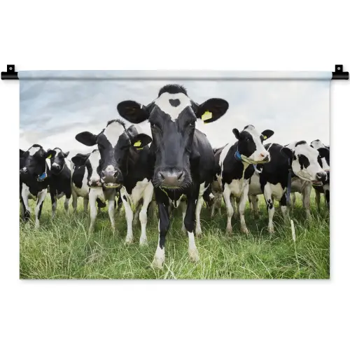 Koeien - Gras - Lente - Dieren - Weiland - Boerderij Wandkleed katoen klein -zz3d