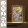 Sierlijke - Vlinder - Paarse - Bloemen Light Box met kabel (Tafellamp) klein -USP_NL