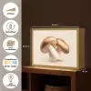 Champignons - Zacht - Beige Light Box met batterij (Wandlamp) middel -USP_websiteoverzichtNL