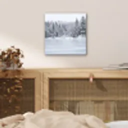 Meer - Dennen - IJs - Winter - Rustgevend aluminium wit klein -sfeer3