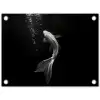 Koi - Vis - Wit - Zwart tuinposter los doek klein -3d