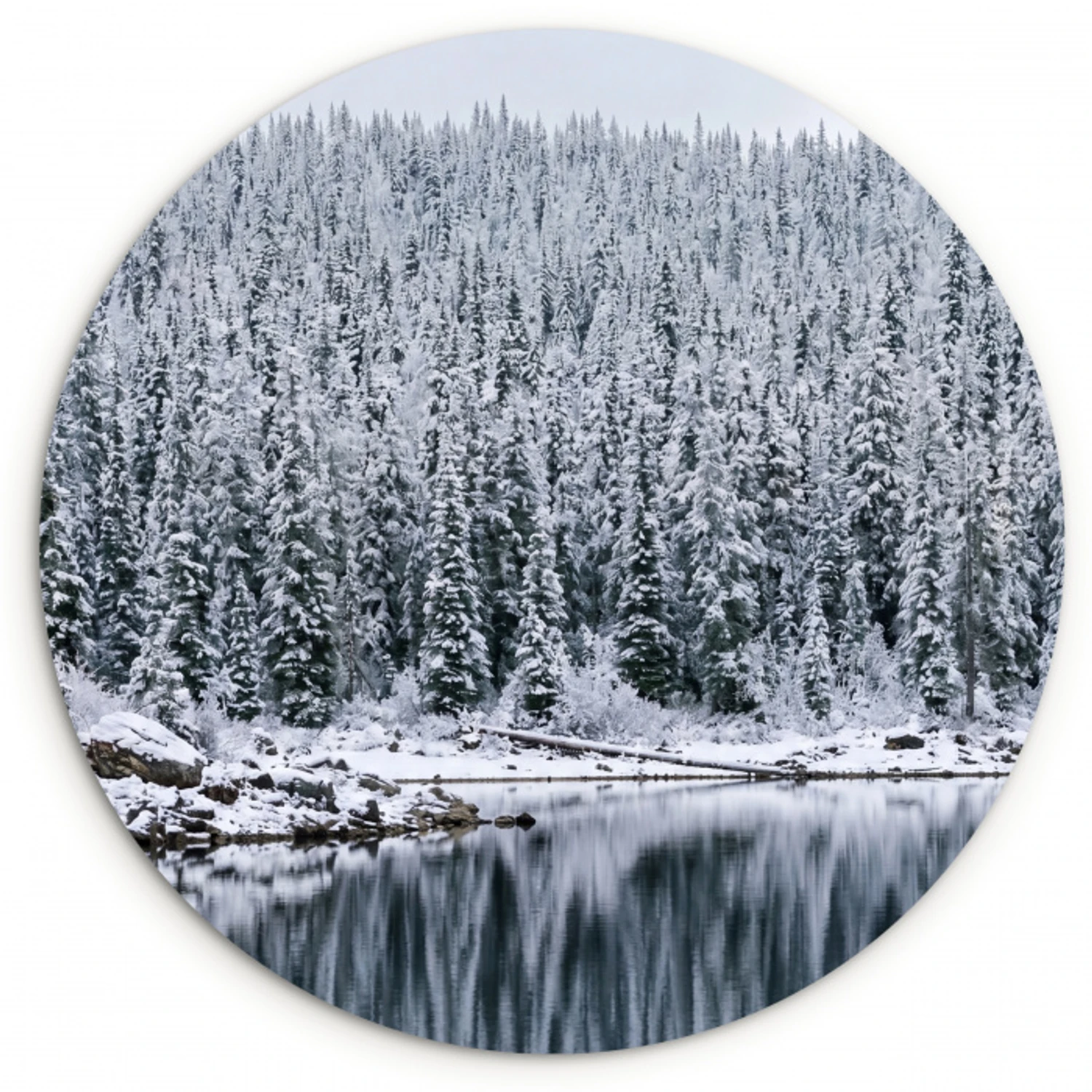 Bos - Reflectie - Meer - Winter - Serene Wandcirkel kunststof plaat 5mm dik klein -3d