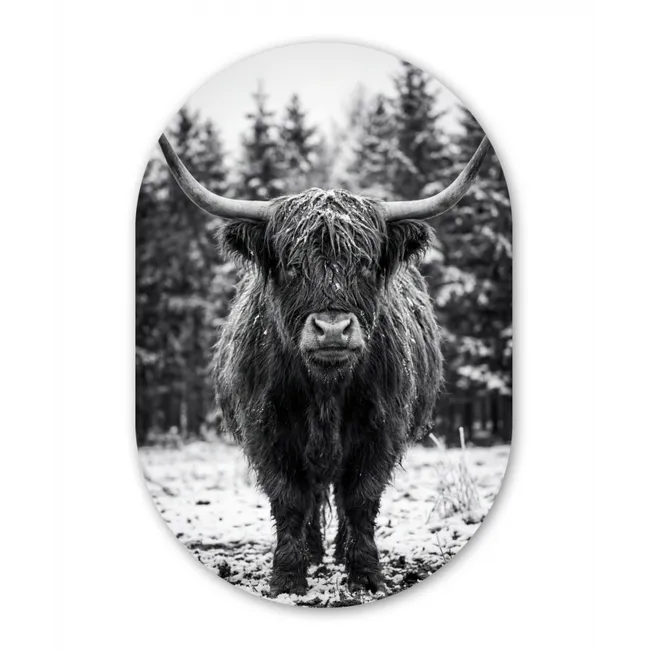Muurovaal - Schotse hooglander - Zwart - Wit - Sneeuwvlokken