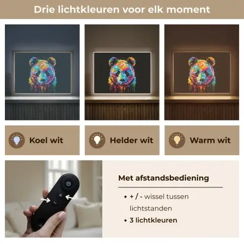 Panda - Dieren - Kleur - Verf - Zwart Light Box met batterij (Wandlamp kind) middel -USP_lichtkleurNL