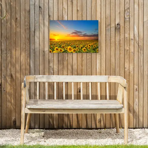 Bloemen - Zonnebloem - Zonsondergang - Nacht - Oranje Tuinposter op houten frame 2 cm dik klein -sfeer4