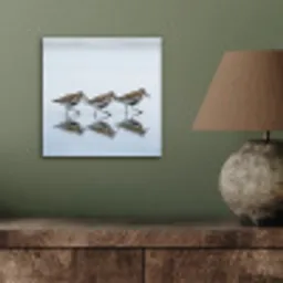 Vogels - Water - Grijs aluminium wit klein -sfeer2