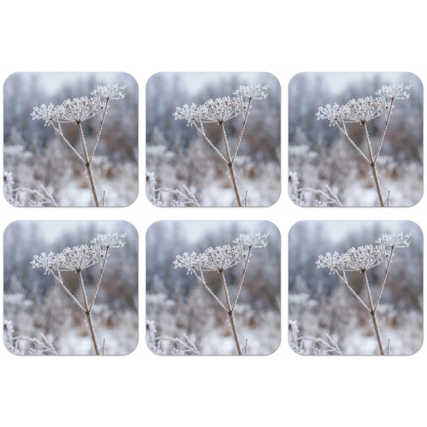 Schermbloem - Rijp - Kristallen - Winter - Delicaat onderzetter kurk middel -zkaufland3dotto