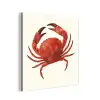Krab - Felrood - Poten aluminium wit klein -3d