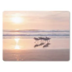 Zee - Vogels - Strand muismat rubber klein -3d