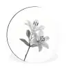 Lelies - Elegant - Zwart - Wit Wandcirkel aluminium klein -3d