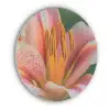 Lelie - Close up - Lichtroze Akoestische PET Vilt - Rond klein -3d
