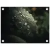 Blad - Groen - Nerven - Regendruppels tuinposter los doek klein -3d