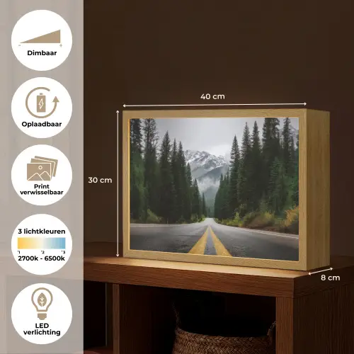 Sparrenbos - Weg - Bergen - Sneeuw Light Box met batterij (Wandlamp) middel -USP_websiteoverzichtNL
