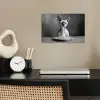 Sphynx - Kat - Dieren - Humor - Spaghetti - Zwart Wit poster papier klein -sfeer1