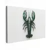 Kreeft - Glossier - Groen - Wit canvas 2cm klein -z3d