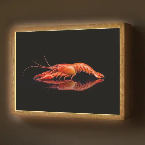 Kreeft - Oranje - Zwart - Opvallend Light Box met batterij (Wandlamp) middel -z3d_website