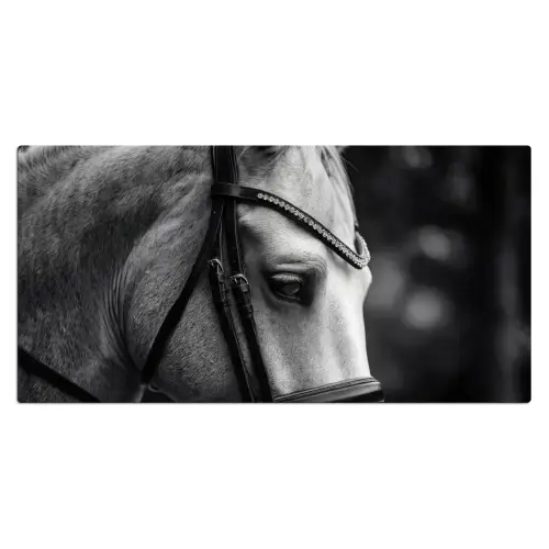 Paard - Schimmel - Portret Muismat XXL klein -3d_leeg