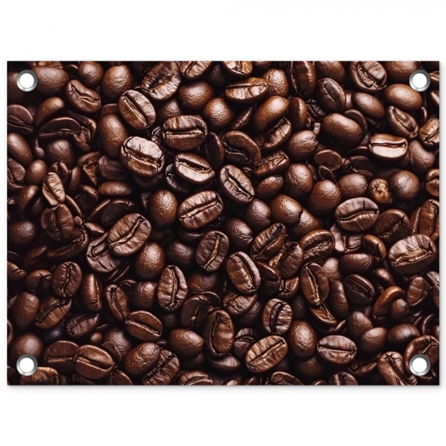 Bonen - Close-up - Donkerbruin tuinposter los doek klein -3d