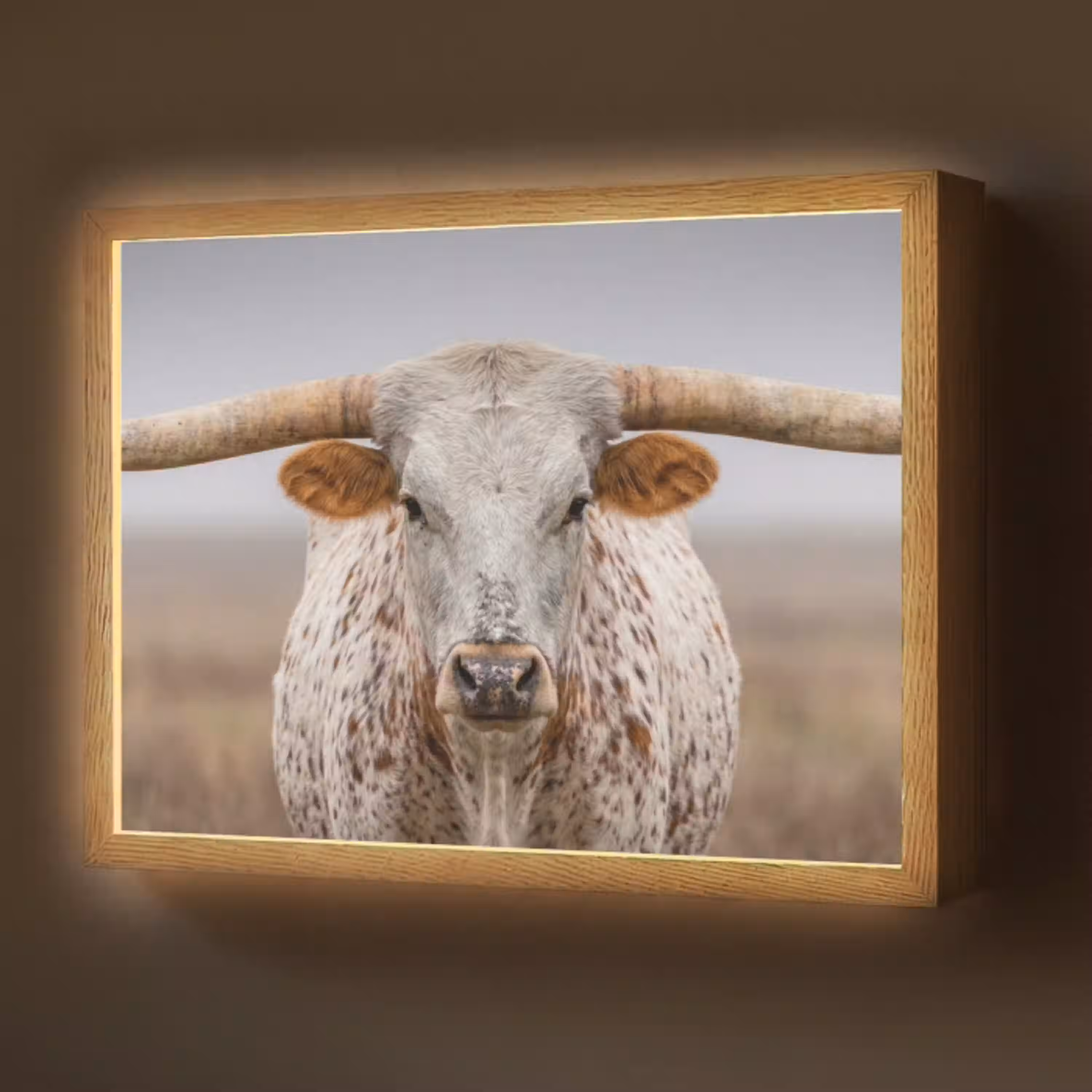 Longhorn - Grasveld - Dier Light Box met batterij (Wandlamp) middel -z3d_website