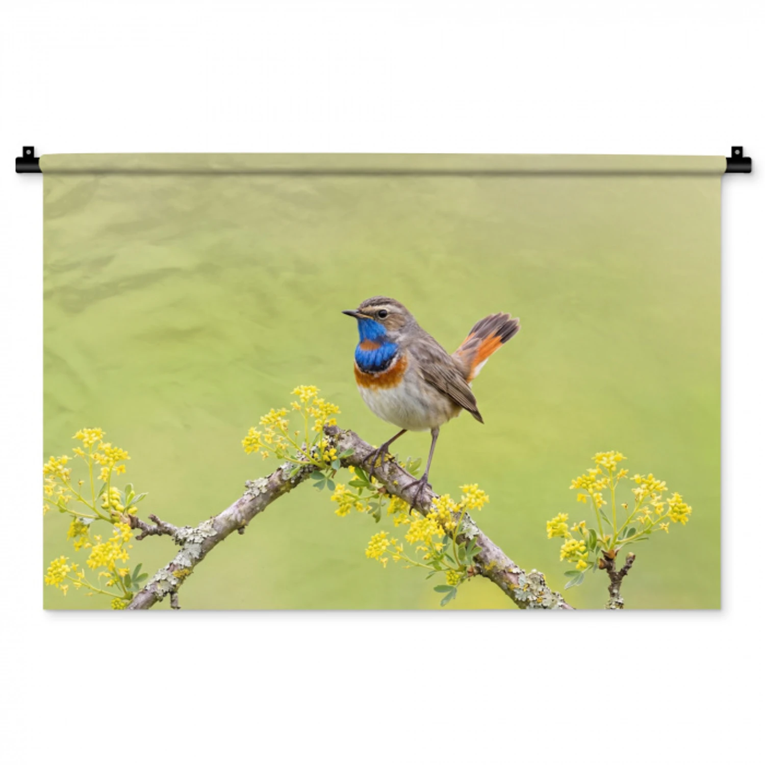 Vogel - Tak - Natuur - Kleurrijk Wandkleed katoen middel -zz3d