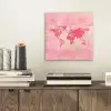 Wereldkaart - Roze - Vaag aluminium wit klein -sfeer1