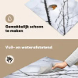 Roodborstje - Tak - Sneeuw - Winter - Levendig Inductie beschemer met haakjes klein -ky-schoon-nl