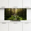 Bomen - Bos - Mos - Planten - Zon - Natuur keuken achterwand 2 middel -3d