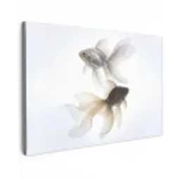 Goudvissen - Modern - Wit canvas 2cm klein -z3d