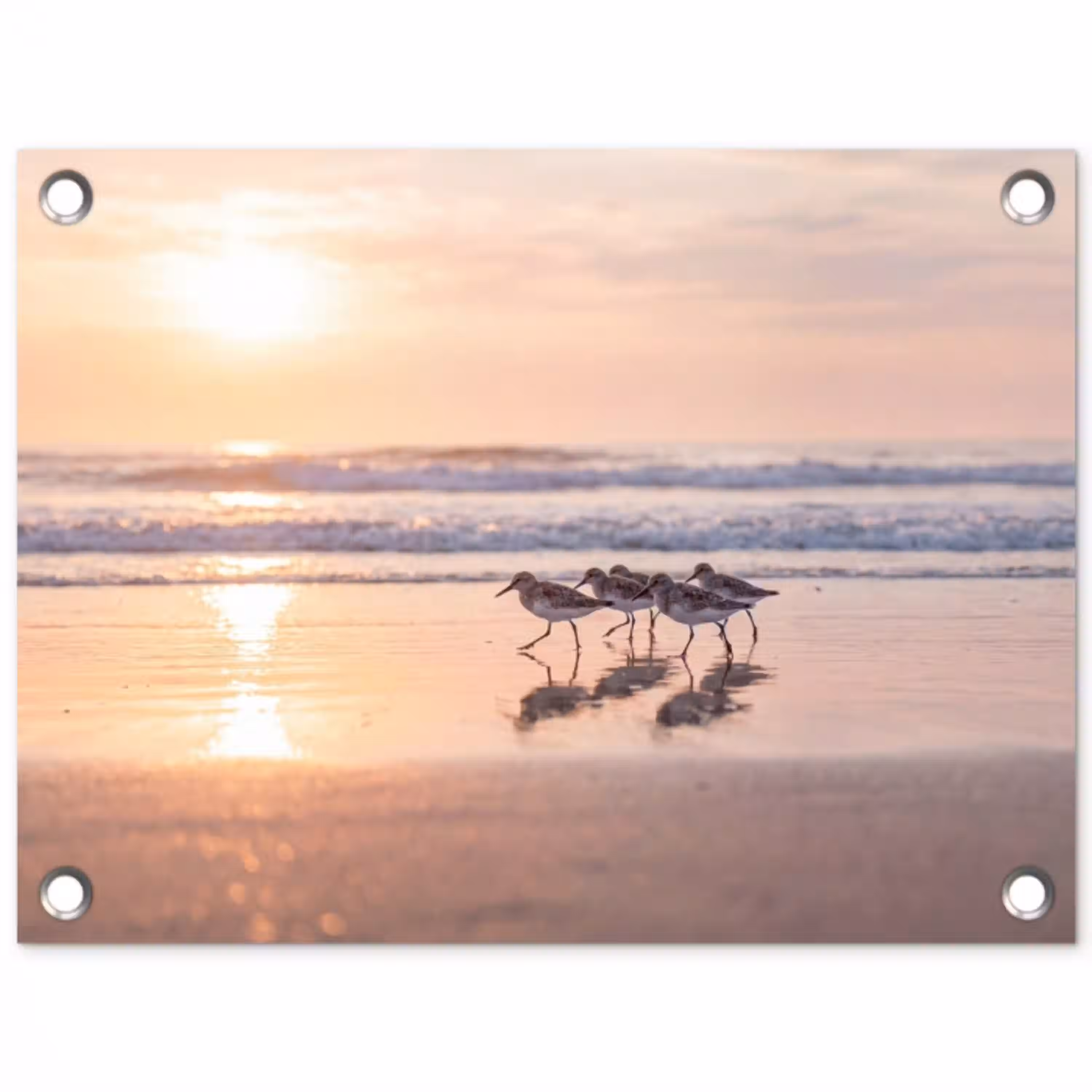 Zee - Vogels - Strand tuinposter los doek klein -3d