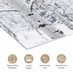 Berkenbomen - Sneeuw - Winter - Bos - Wit poster papier klein -closeup_NL