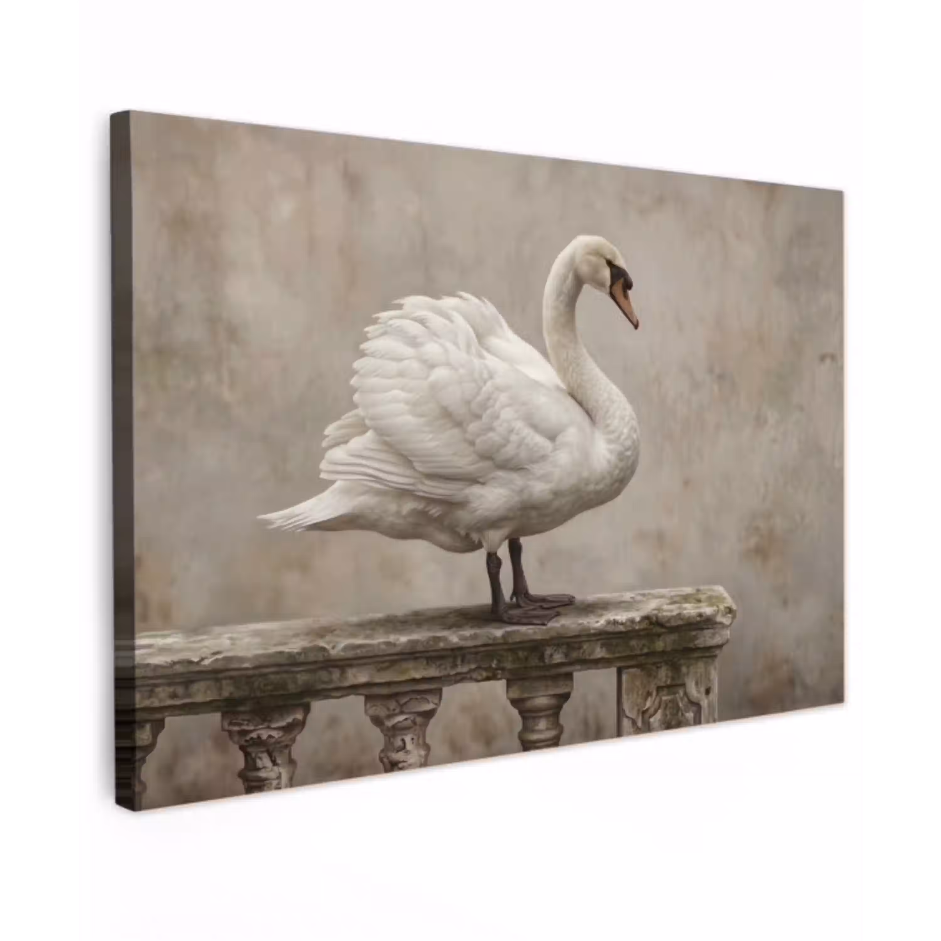 Zwaan - Elegant - Dieren - Wit Tuinposter op houten frame 2 cm dik klein -3d